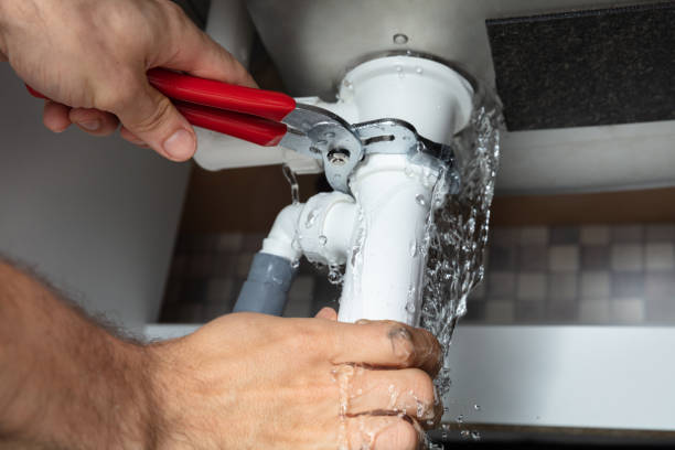 Best Carpet water damage restoration  in Cohoe, AK