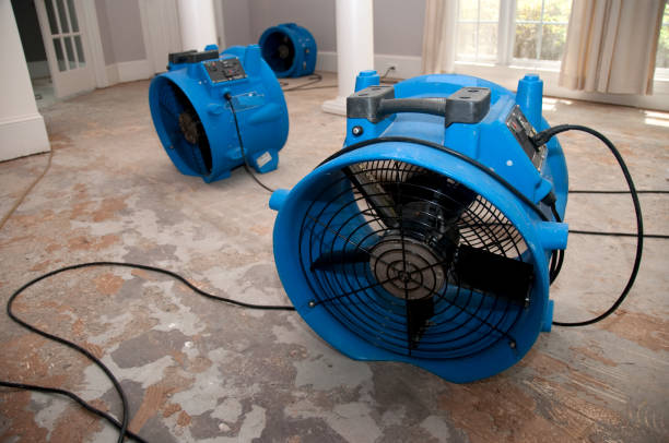 Reliable Cohoe, AK Water damage restoration Solutions