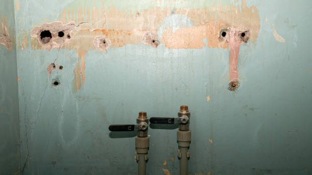 Best Emergency water extraction  in Cohoe, AK