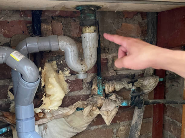 Best Water damage restoration mold remediation  in Cohoe, AK