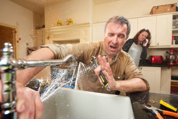 Best Flood restoration services  in Cohoe, AK
